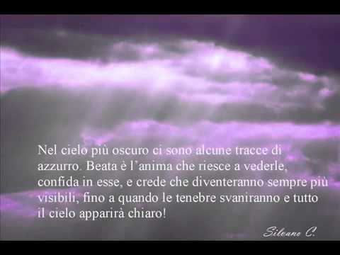 Stefano de Fenza  - Tu non mi lascerai mai