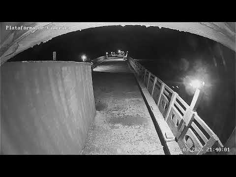 AO VIVO| Plataforma de Pesca de Cidreira – Vista para o Mar 🌊