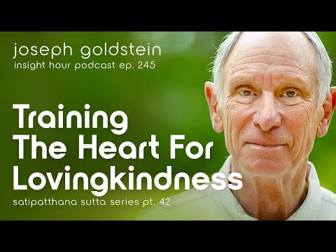 Training the Heart for Lovingkindness w/ Joseph Goldstein | Insight Hour Ep.245 – Sutta Series Pt.42