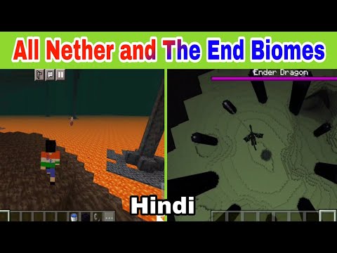 Be Perfect Channel - All Nether and The End biomes explained in Hindi Minecraft ( Part - 2 of 2 )
