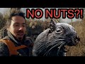 Why I Don't Eat Nuts on a Keto Diet