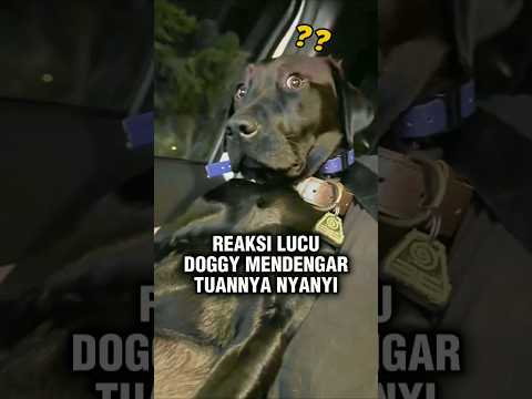 Sampai Melotot Gitu 😂