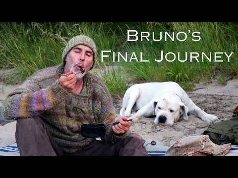 My Pure Dogo Argentino, 'Bruno'. One Last Adventure