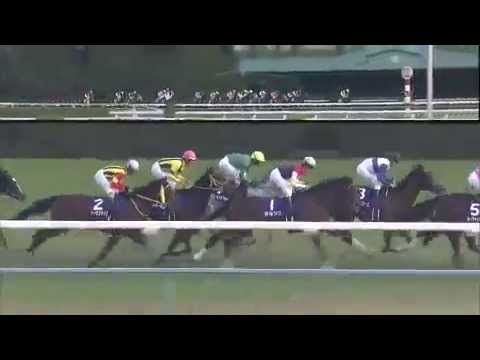 2014.11.16 Queen Elizabeth II Cup (JPN) - Lachesis