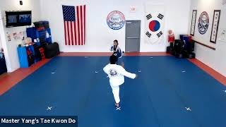 Live Class - White Belt - 6.18.20 @ 4:30pm
