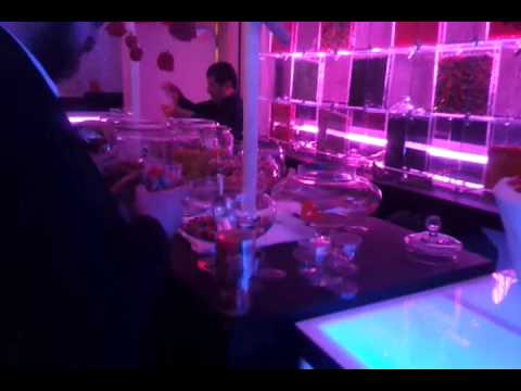 Chaim Goldberger Twins Vachnacht