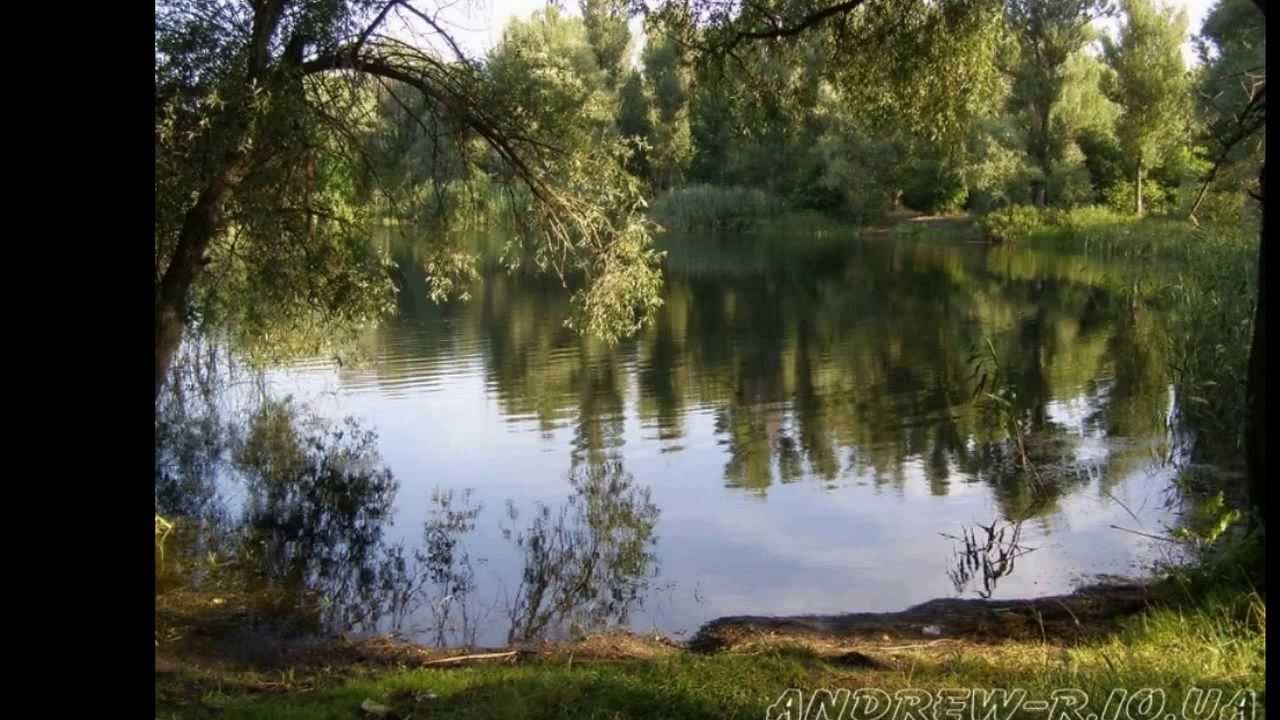 Полезное видео