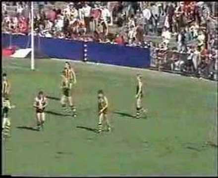 VFL Football R4 1986 - St.Kilda v Hawthorn