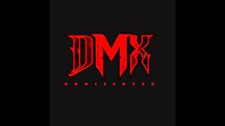 DMX - Cold World