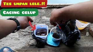 Download lagu Mancing lele pake umpan cacing   celupan II bikin Pelampung selalu ngetrik mp3
