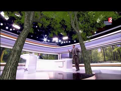 LE LANGAGE DES ARBRES - JT 20H - FRANCE 2 - 29/03/2017