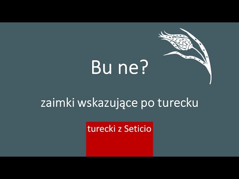 10. Zaimki wskazujące i pytajne po turecku - Turecki z Seticio - Lekcja 10