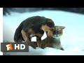 A Dog's Way Home (2018) - Fun in the Snow Scene (4/10) | Movieclips
