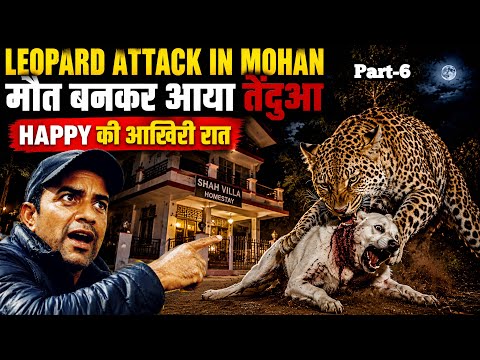 Leopard Attack in Jim Corbett | मोहान क्षेत्र में तेंदए का आतंक | Shah Villa Jim Corbett #wildlife