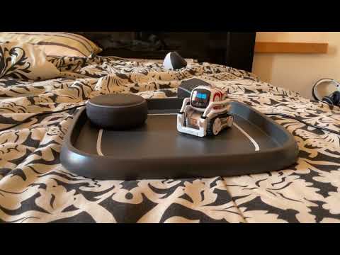 Cozmo Robot Show - Cozmo and Alexa Christmas In July Jingle Bells