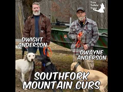 215. Southfork Mountain Curs