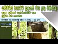 ගම්මිරිස් වගාවට සූදානම් විය යුතු පිළ�