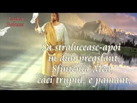 STRAPUNS ... versuri Lucica Boltasu ,voce Ady Moldovan