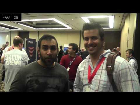 44 facts about 44con