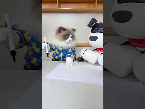 some fun time with our new friend! #thatlittlepuff