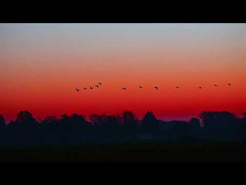 Esther Abrami - No.4 Piano Journey