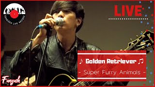 Golden Retriever - Super Furry Animals ( Cover By Daenerys Targaryen ) #Fungush