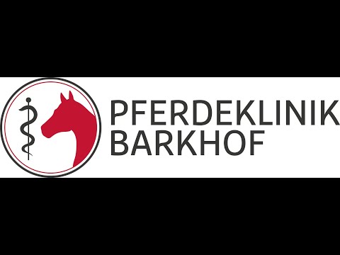 Pferdeklinik Barkhof - Porträt