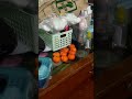 ORANGES FOR 1000000000 DOLLARS