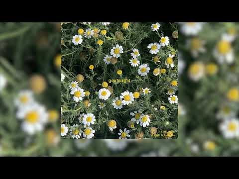 Lowelto & NOIL - goodnight! (feat.黄格雷) [Official Lyric Video]