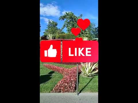 Nikita Gordijn  A day in Geneva,  Switzerland @Danish_Tailor