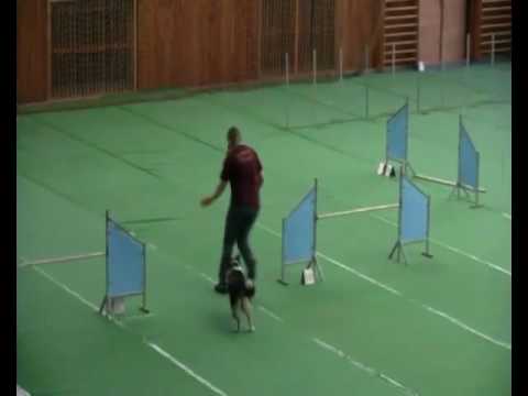 Louny Aida jump 3.1.10. ZKO Litoměřice pod Radobýlem