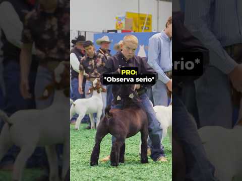 Estaba Muy confiado... 😬