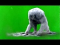 Green Screen Snow Ghost Footage HD