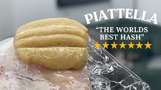 BEST HASH IN THE WORLD PIATTELLA - FROM SEED TO HARVEST AND THE STORY FROM BARCELONA
