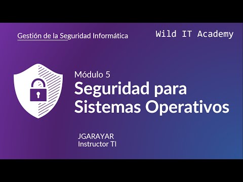 Seguridad Informática Wild IT Academy
