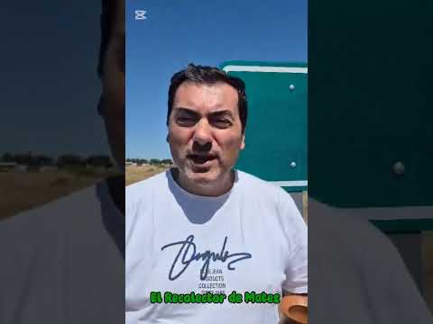 Recolectando Mates en Puelches.#mate #mateando