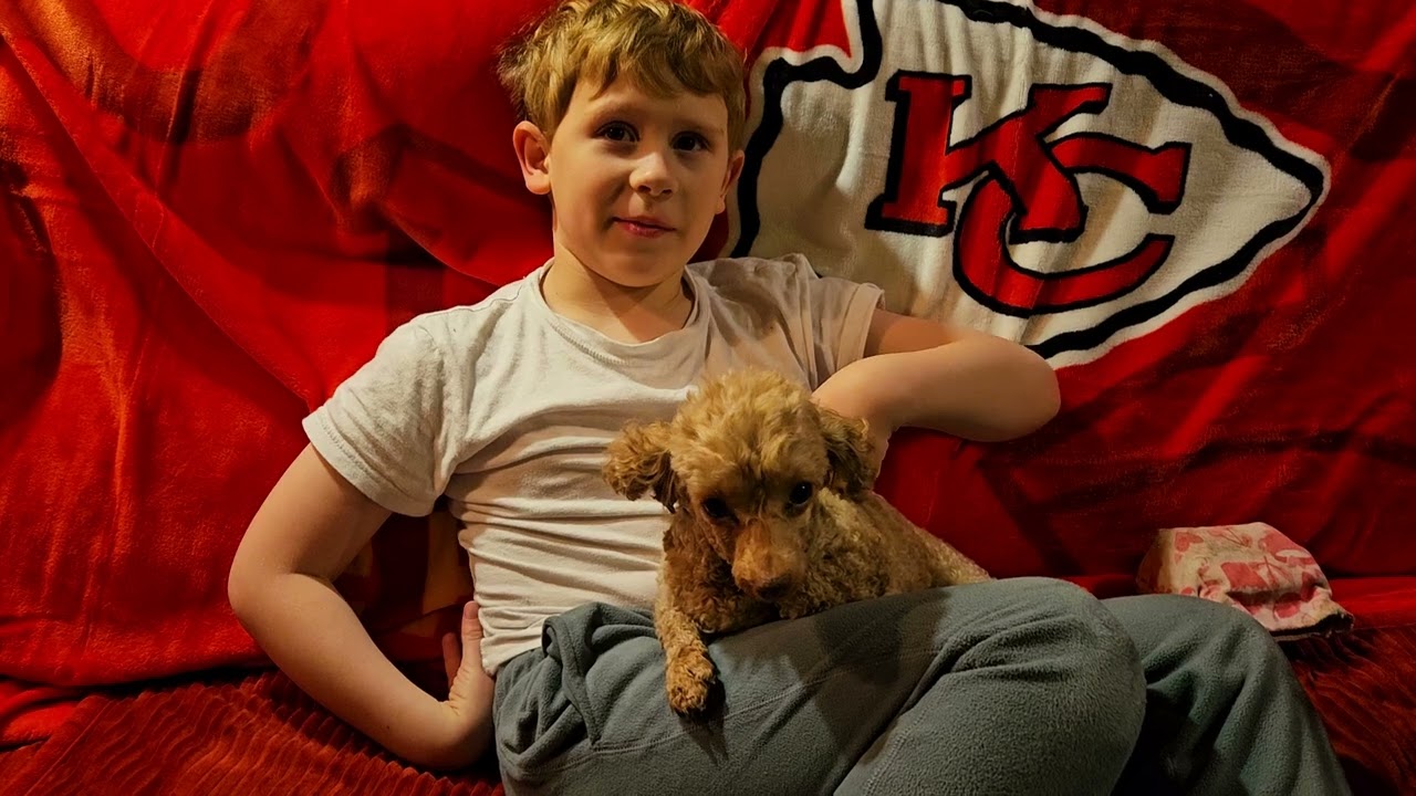 Enlarge Trapper, an adopted Miniature Poodle in Kansas City, MO video 2/6