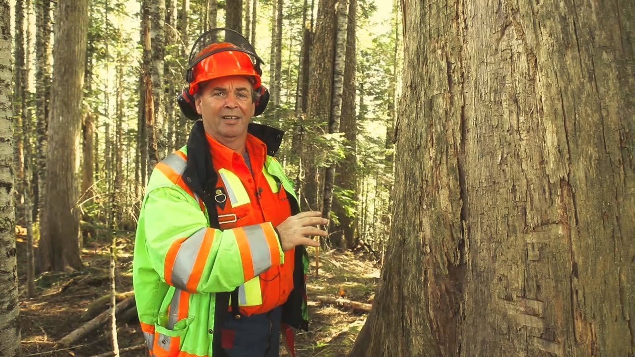 Quarter Management - SAFER.ca