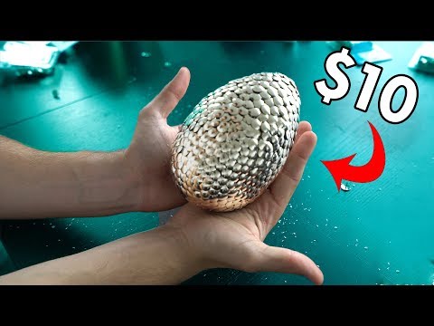 download lagu mp3 mp4 How To Make A Dragon Egg, download lagu How To Make A Dragon Egg gratis, unduh video klip How To Make A Dragon Egg