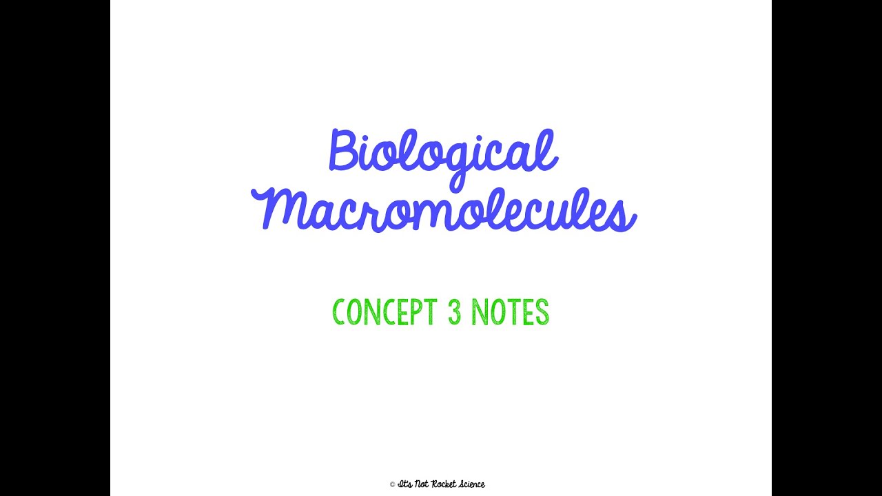(OLD) Unit 1 Macromolecules Notes