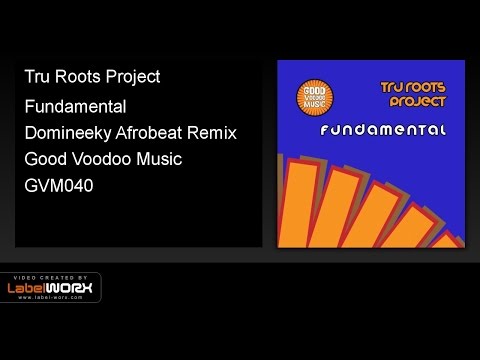 Tru Roots Project - Fundamental (Domineeky Afrobeat Remix)
