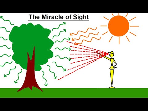 Can You Believe It 27 What is Time