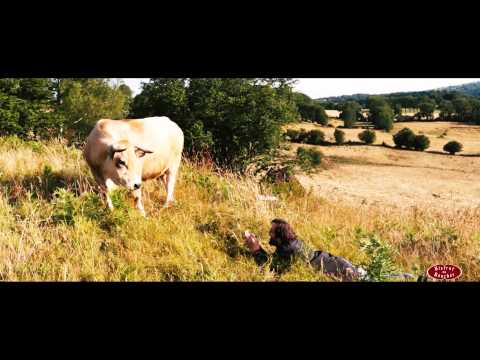 L’expert Bistrot du Boucher - Teaser #1 l’expertise viande