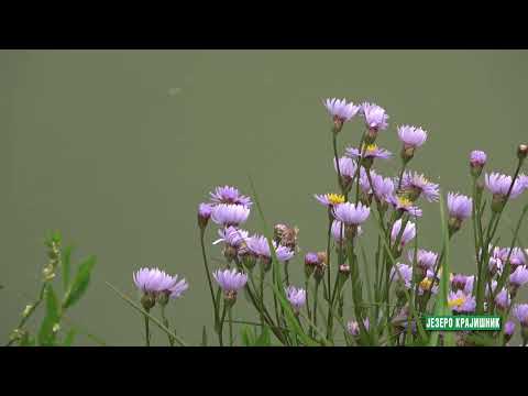 Reke i jezera - Jezero Krajišnik