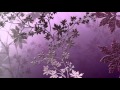 Autumn Leaves Diana Krall
