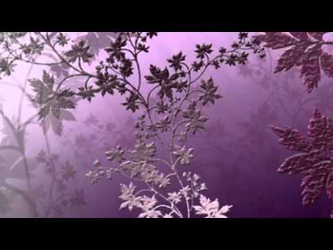 Autumn Leaves video