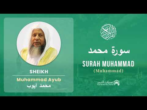 Quran 47   Surah Muhammad سورة محمد   Sheikh Mohammad Ayub - With English Translation