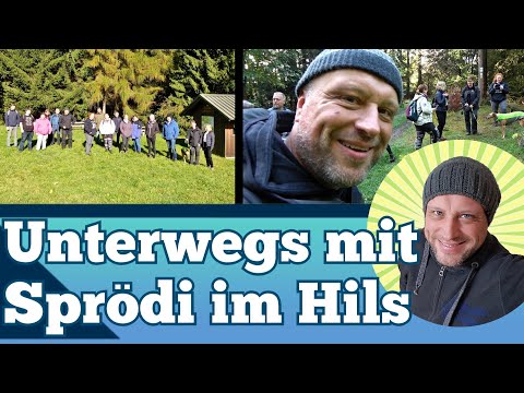 Unterwegs mit Sprödi im Hils - auf dem Hils-Kammweg über Feuerschneisenhütte zum Wilhelm-Raabe-Turm