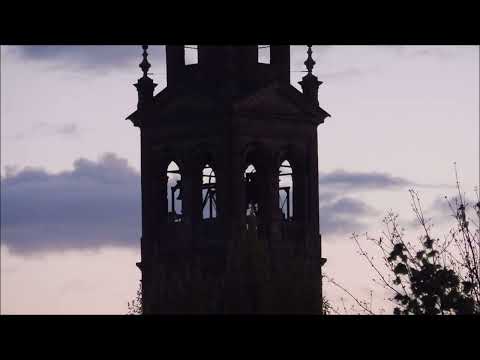 Campane di Trecenta (RO) - Ave Maria serale