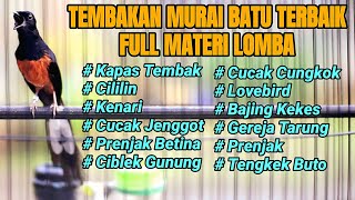 Download lagu MASTERAN MURAI BATU TERBAIK SEPANJANG MASA FULL TEMBAKAN BONGKAR ISIAN LOMBA 100% BIKIN MURAI  JUARA mp3